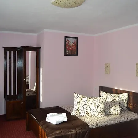 Guest house Cabana Nuta 3*